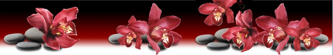 skinali 0888-1